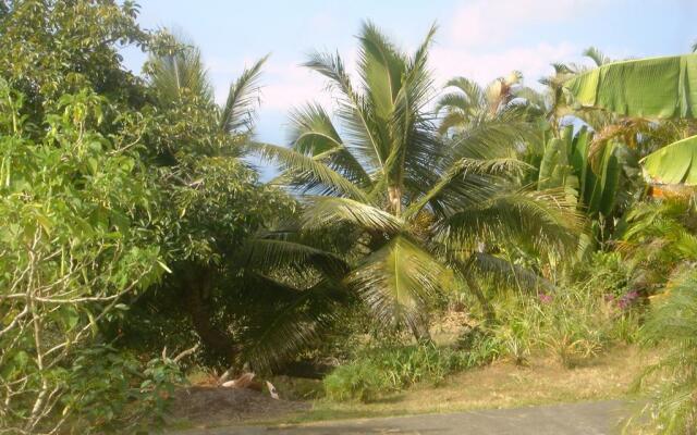 Green Lions Bed & Breakfast