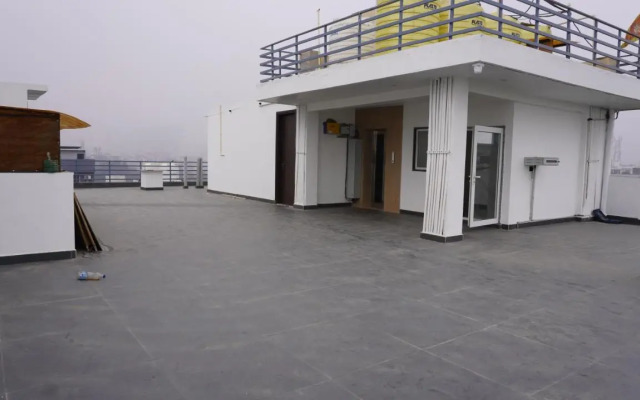 The Palm Studio