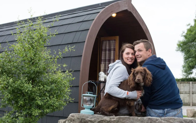 The Little Hide - Adult Only Camping Pods
