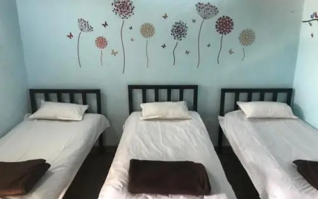 Green Fog Guesthouse