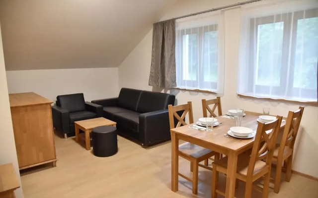 EFI ApartHotel Horní Lipová