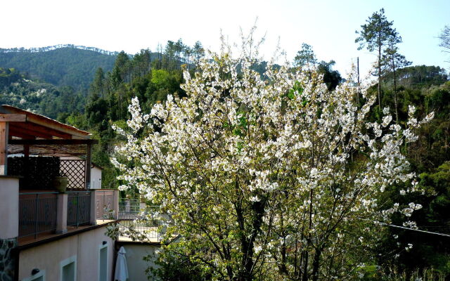 Resort Costa Morroni