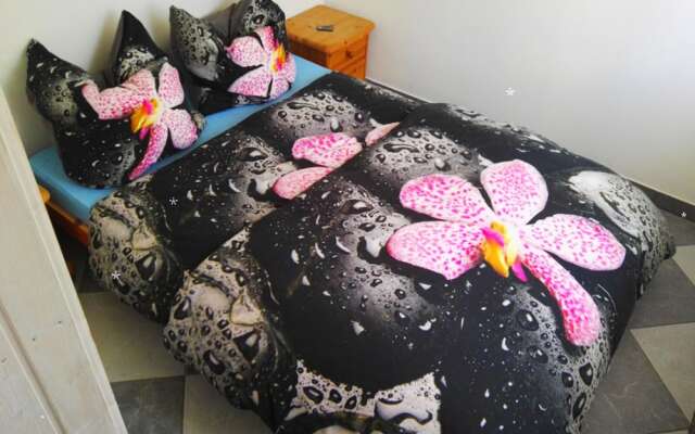 3 Zimmer-Apartment mit Weitblick