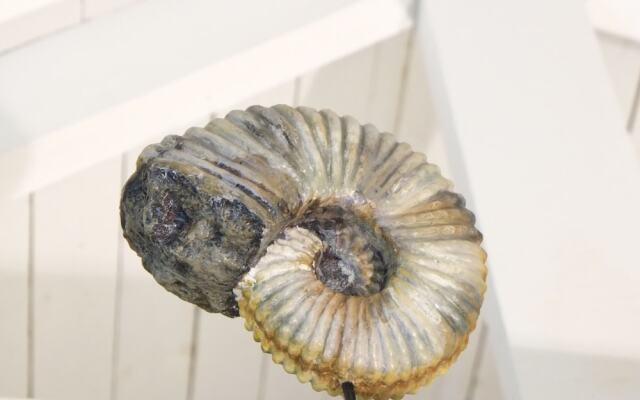 Ti Laouenek – Maison d'hôtes à Vannes