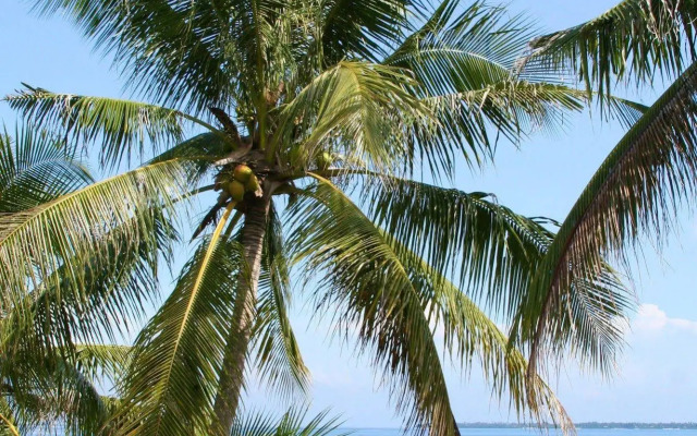Sandingan Island Resort