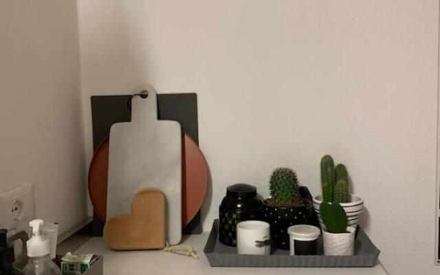 Buonconsiglio apartment