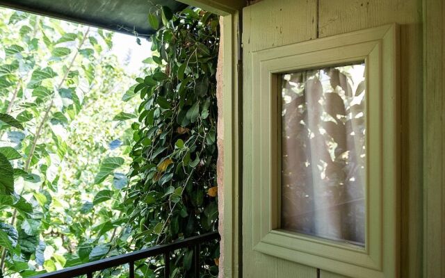 Lemon Tree Eco-Retreat