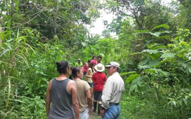 Avatar Amazon Lodge & Canopy Park