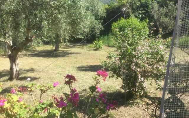 The Cabin, Kyparissia