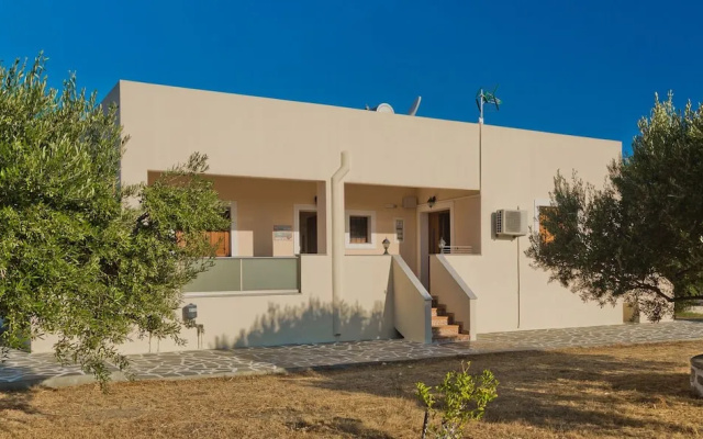 Olive Studios
