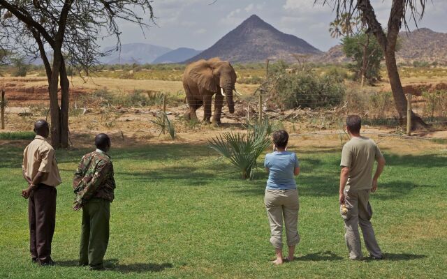 Elephant Bedroom Camp