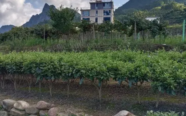 Mangshan Yihao Wanghong Homestay