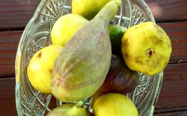 Rustic Holiday Home Miketa