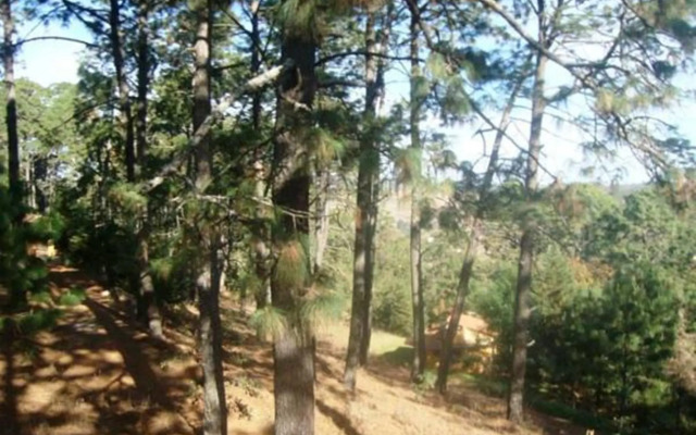 Cabañas el Pinar