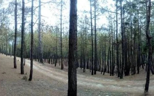 Xomotel Ranikhet Heights