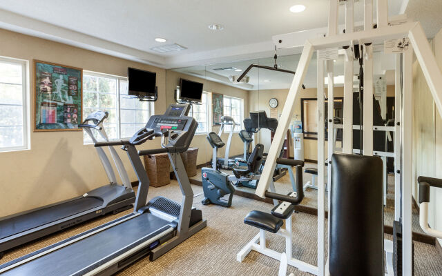 Comfort Inn & Suites Texas Hill Country