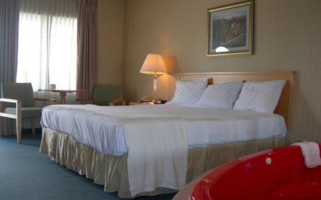 Rodeway Inn by the Falls