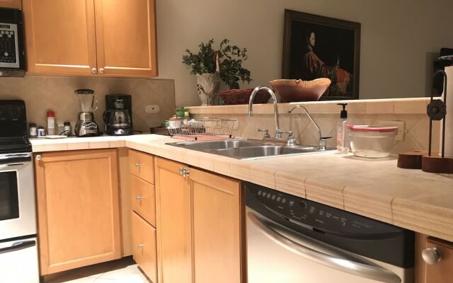 CR Luxury Los Sueños Condos