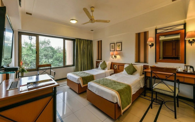 The International by Tunga