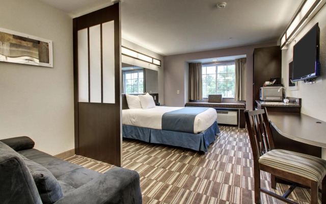 Microtel Inn & Suites by Wyndham Tuscaloosa Near University