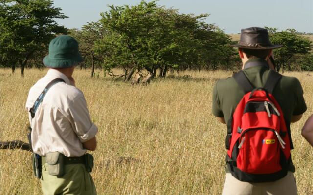 Big Cat Safari , 4 days / 3 nights , Fly-in safari in Kenya