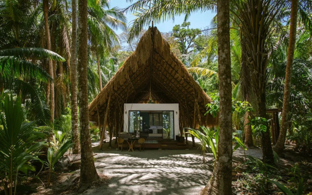 Isla Palenque Member of the Cayuga Collection