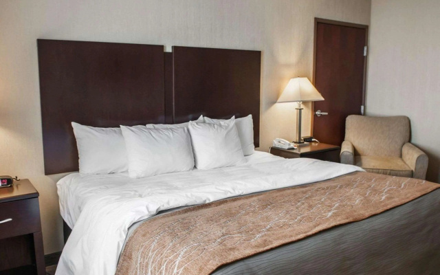 Comfort Inn & Suites Muncie Near University