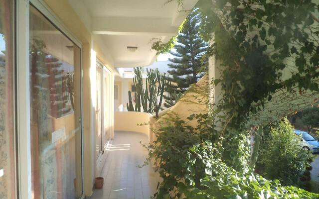 Afentoulis Studios
