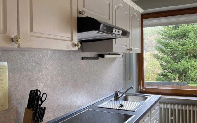 black forest apartments titisee