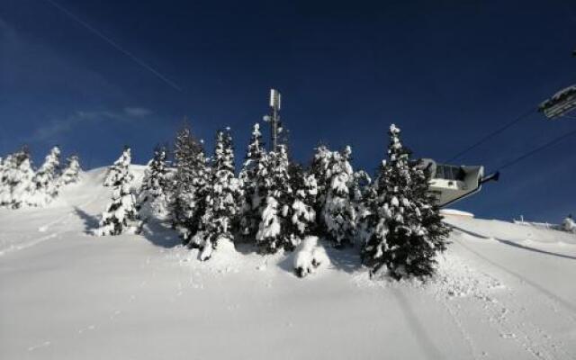 Apartment "Casa Maya"