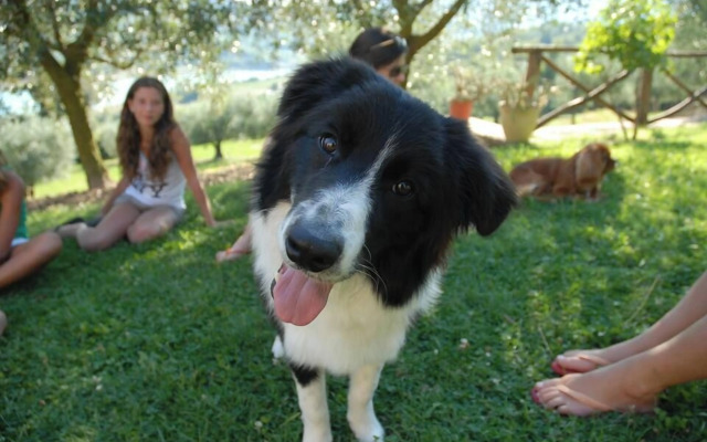 Agriturismo Le Ceregne bio