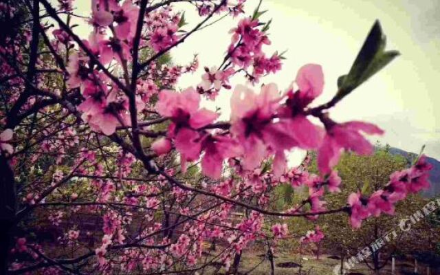 Chuixiang Rural Guesthouse
