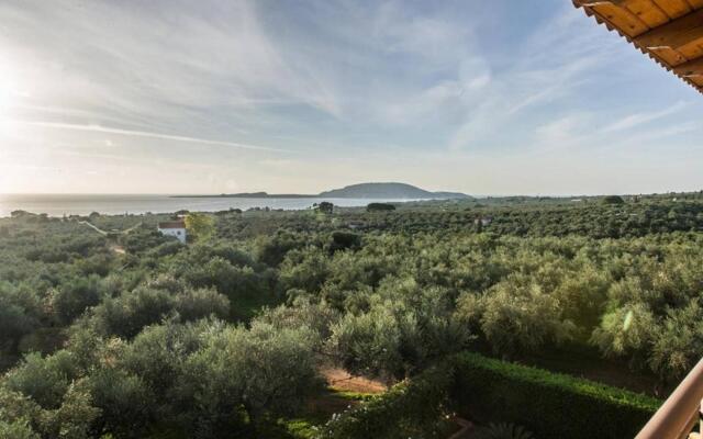 Seaview flat in an olive grove by the beach