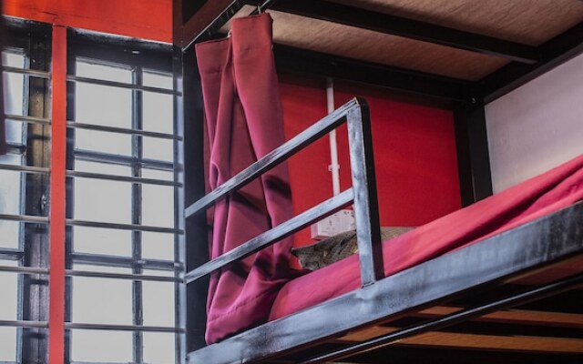 House of Lion Hostel and Guesthouse