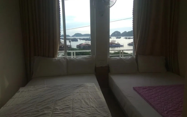 Green Bamboo Forest Cat Ba