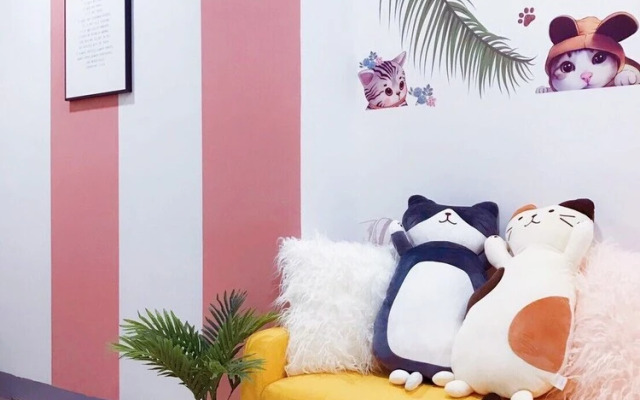 Ha Ha Cat Home Ximen Zhonghua