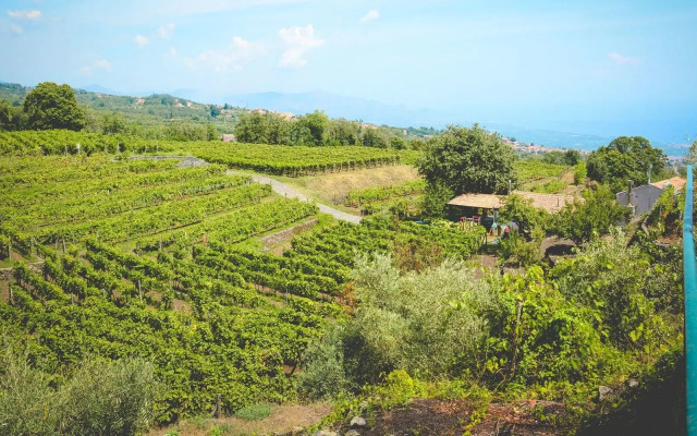 Le Case del Merlo