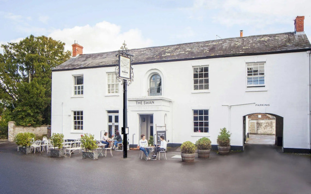 The Swan