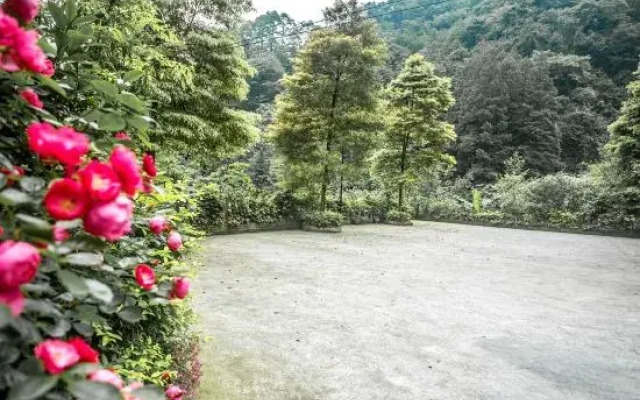 Qingcheng Mountain Tingcicada·Hot Spring B&B