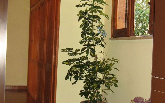 Da Miranda Bed & Breakfast