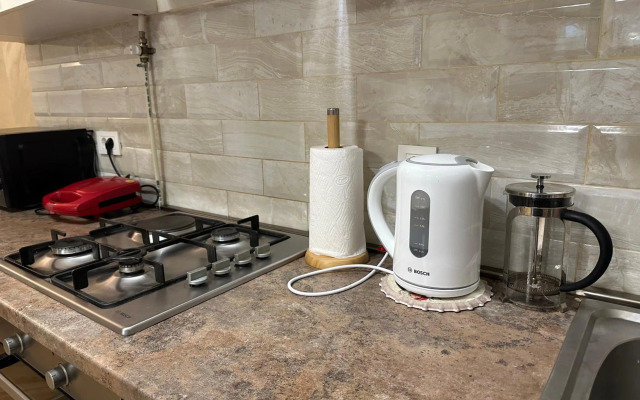 Comfortable apartment in center