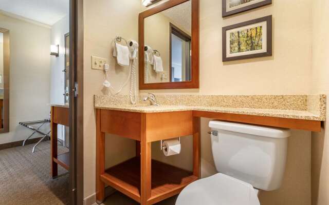 Comfort Inn & Suites near Danville Mall