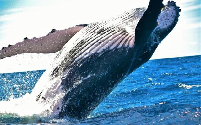 Paradise Beach House