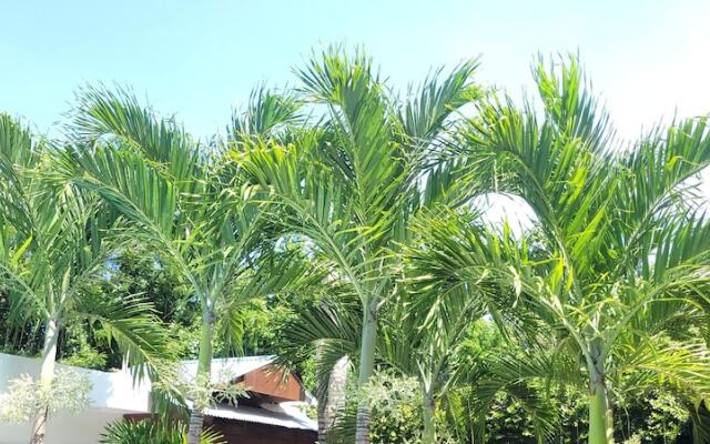 Green Oasis Hotel