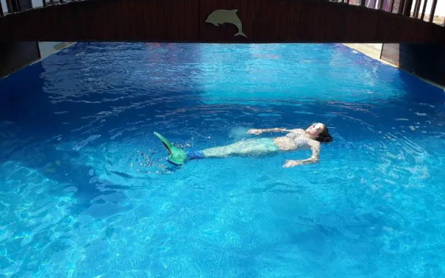 Dolphin Apart