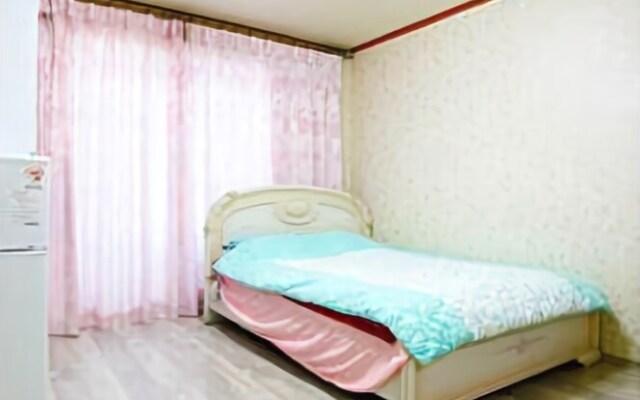 Seokcho Hometown Lodge Pension