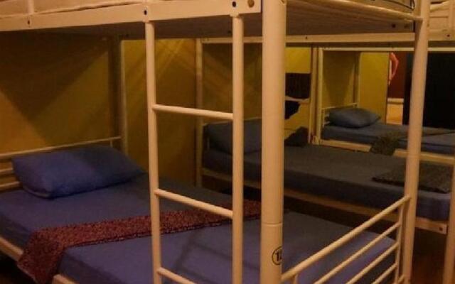 Best Bunk Beds Lodge