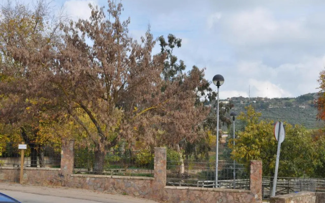 Apartamento Turístico La Ribera del Marco