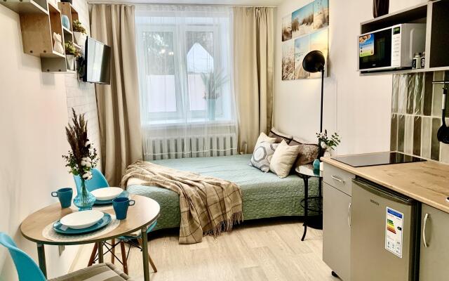 Апартаменты на улице Челюскинцев 30