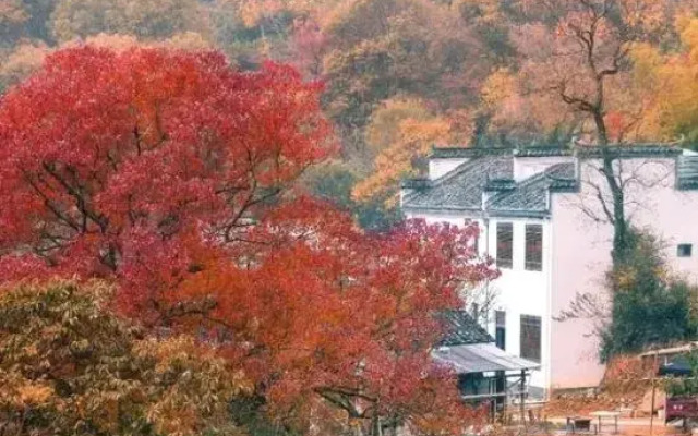 Xinyi Inn